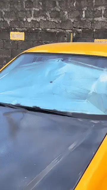 denx-portable-car-umbrella