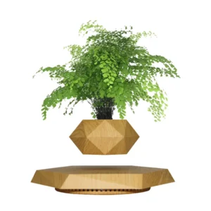 Bonsai Planter Pot